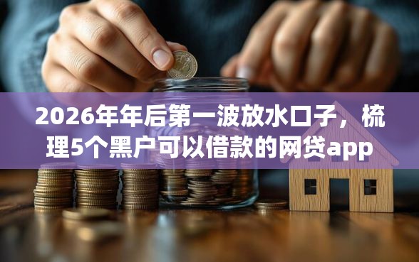 2026年年后第一波放水口子,梳理5个黑户可以借款的网贷app 2026年年后第一波放水口子,梳理5个黑户可以借款的网贷app
