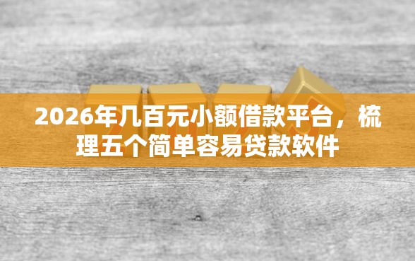 2026年几百元小额借款平台，梳理五个简单容易贷款软件