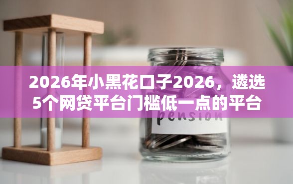 2026年小黑花口子2026，遴选5个网贷平台门槛低一点的平台