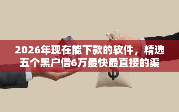 2026年现在能下款的软件，精选五个黑户借6万最快最直接的渠道