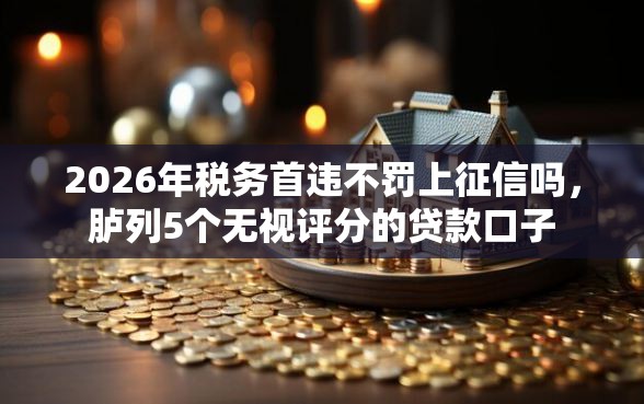 2026年税务首违不罚上征信吗，胪列5个无视评分的贷款口子