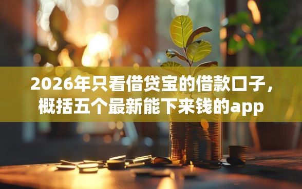 2026年只看借贷宝的借款口子，概括五个最新能下来钱的app