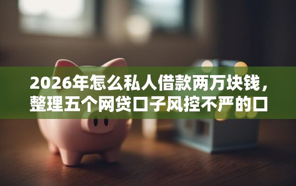 2026年怎么私人借款两万块钱，整理五个网贷口子风控不严的口子