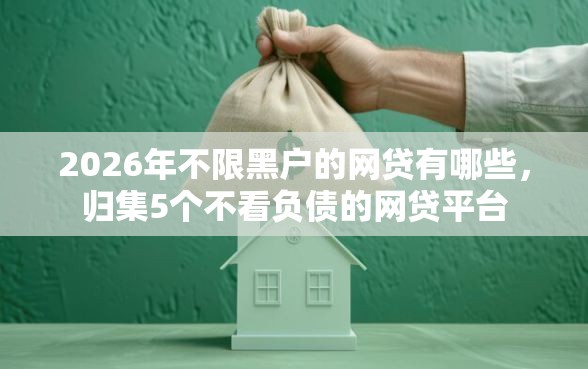 2026年不限黑户的网贷有哪些，归集5个不看负债的网贷平台