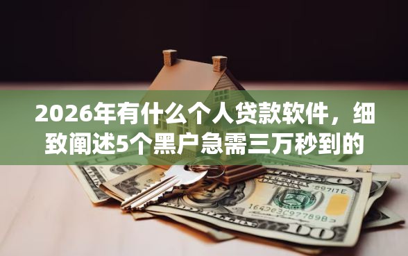 2026年有什么个人贷款软件，细致阐述5个黑户急需三万秒到的的app