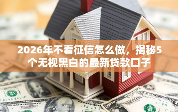 2026年不看征信怎么做，揭秘5个无视黑白的最新贷款口子