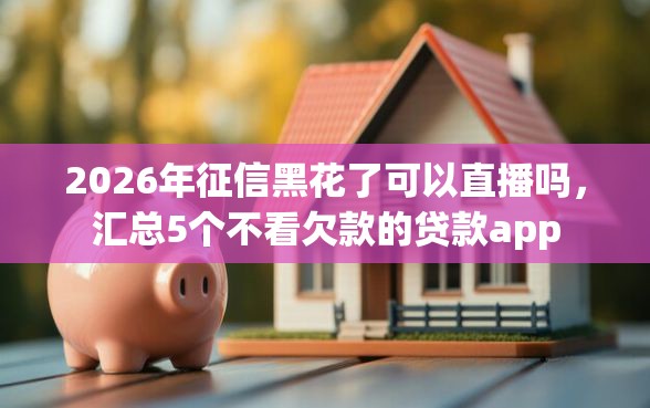 2026年征信黑花了可以直播吗，汇总5个不看欠款的贷款app