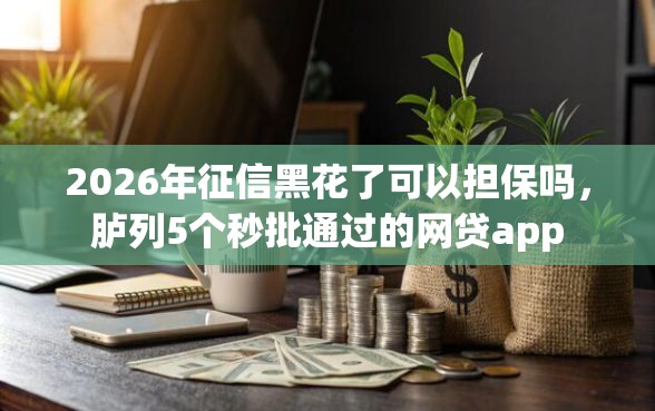 2026年征信黑花了可以担保吗，胪列5个秒批通过的网贷app