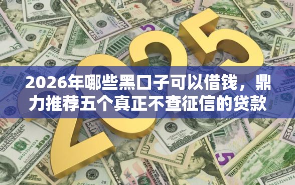 2026年哪些黑口子可以借钱，鼎力推荐五个真正不查征信的贷款软件