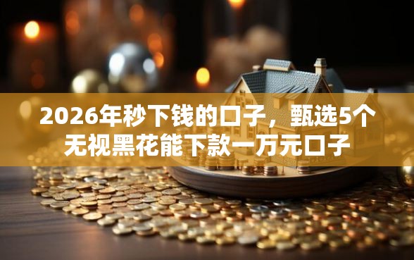 2026年秒下钱的口子，甄选5个无视黑花能下款一万元口子