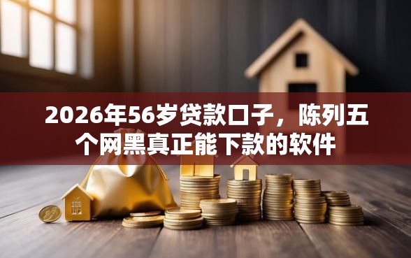 2026年56岁贷款口子，陈列五个网黑真正能下款的软件