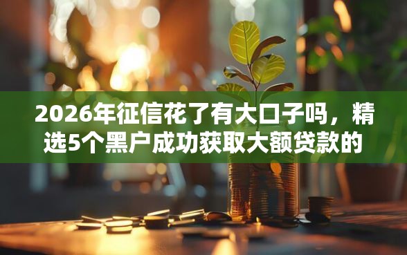 2026年征信花了有大口子吗，精选5个黑户成功获取大额贷款的平台