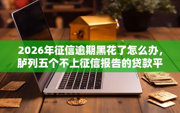 2026年征信逾期黑花了怎么办，胪列五个不上征信报告的贷款平台