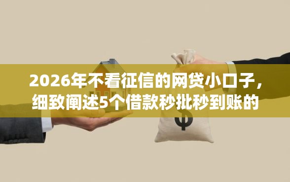 2026年不看征信的网贷小口子，细致阐述5个借款秒批秒到账的app