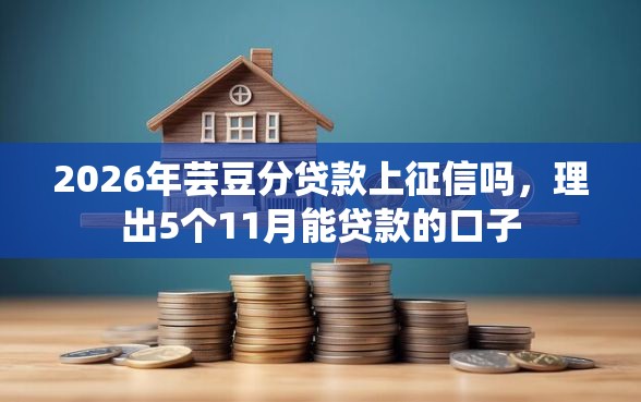 2026年芸豆分贷款上征信吗，理出5个11月能贷款的口子
