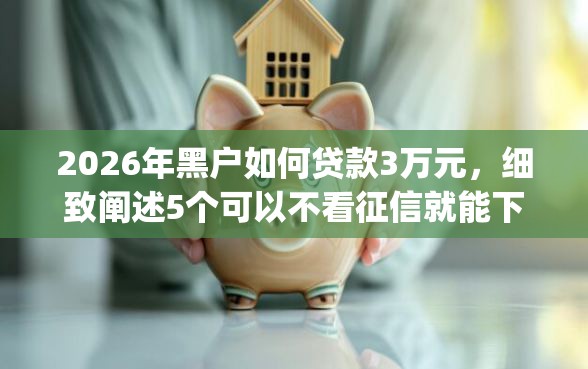2026年黑户如何贷款3万元，细致阐述5个可以不看征信就能下款的app