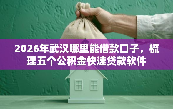 2026年武汉哪里能借款口子，梳理五个公积金快速贷款软件