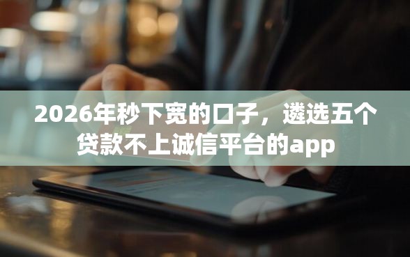 2026年秒下宽的口子，遴选五个贷款不上诚信平台的app