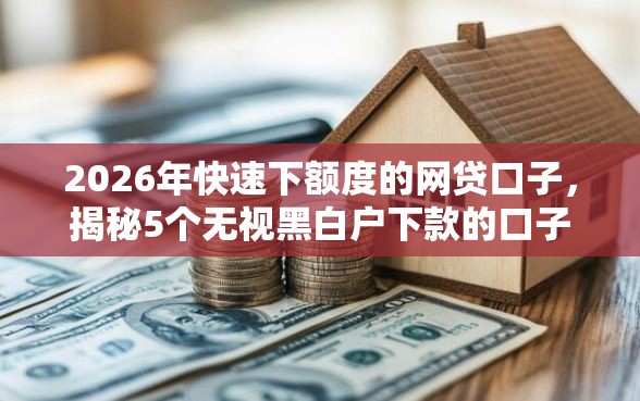 2026年快速下额度的网贷口子，揭秘5个无视黑白户下款的口子