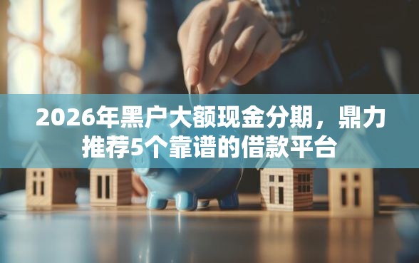2026年黑户大额现金分期，鼎力推荐5个靠谱的借款平台