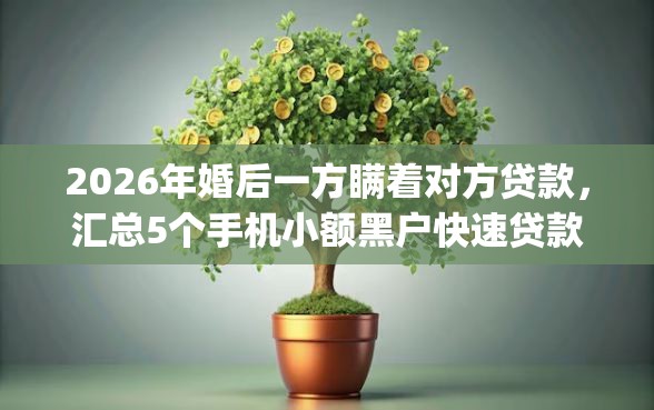 2026年婚后一方瞒着对方贷款，汇总5个手机小额黑户快速贷款app