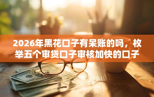 2026年黑花口子有呆账的吗，枚举五个审贷口子审核加快的口子