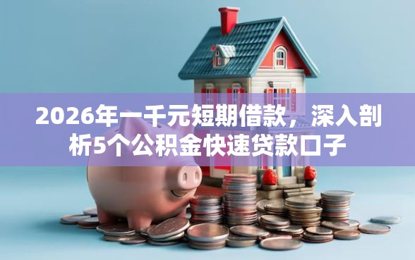 2026年一千元短期借款，深入剖析5个公积金快速贷款口子