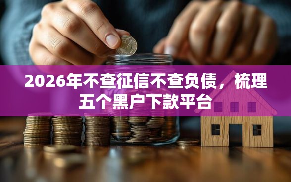 2026年不查征信不查负债，梳理五个黑户下款平台