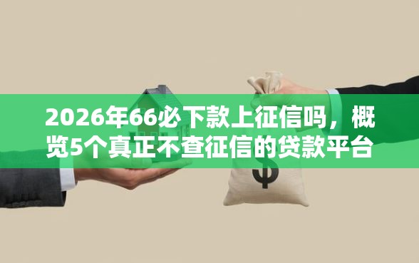 2026年66必下款上征信吗，概览5个真正不查征信的贷款平台