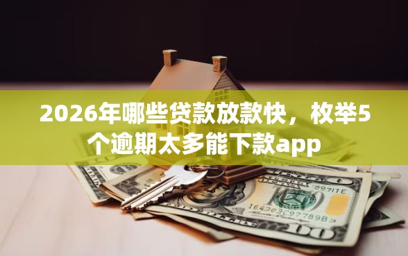 2026年哪些贷款放款快，枚举5个逾期太多能下款app