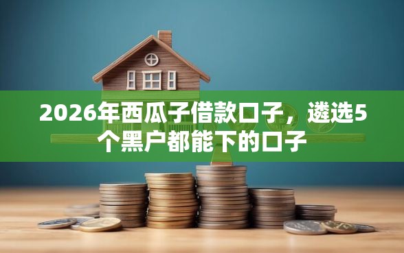2026年西瓜子借款口子，遴选5个黑户都能下的口子
