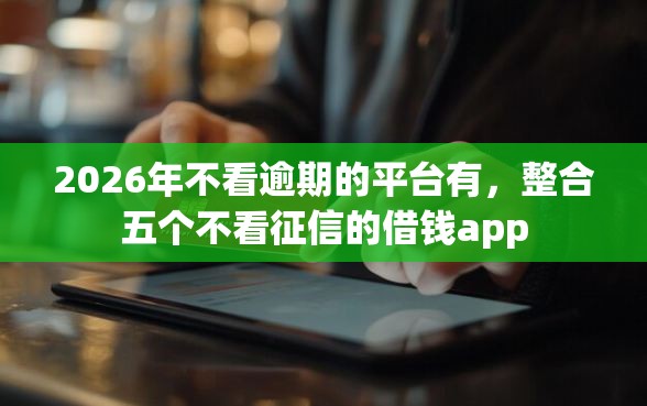 2026年不看逾期的平台有，整合五个不看征信的借钱app