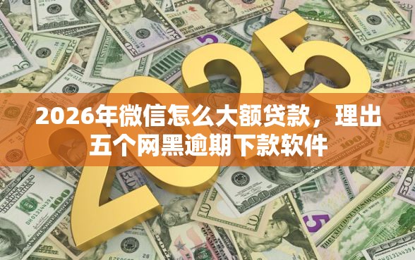 2026年微信怎么大额贷款，理出五个网黑逾期下款软件