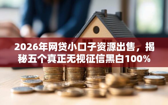 2026年网贷小口子资源出售，揭秘五个真正无视征信黑白100%秒下网贷