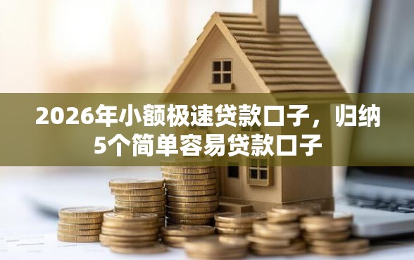 2026年小额极速贷款口子，归纳5个简单容易贷款口子