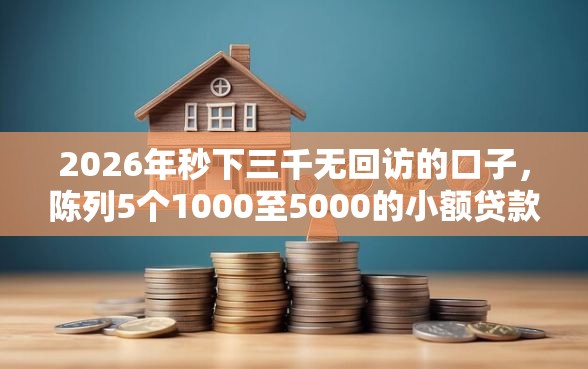 2026年秒下三千无回访的口子，陈列5个1000至5000的小额贷款软件