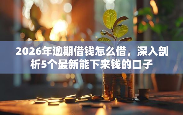 2026年逾期借钱怎么借，深入剖析5个最新能下来钱的口子