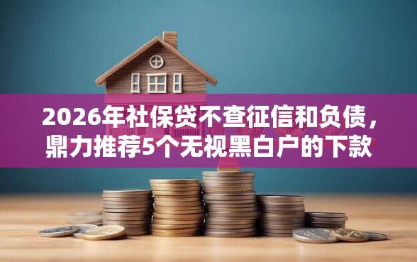 2026年社保贷不查征信和负债，鼎力推荐5个无视黑白户的下款口子