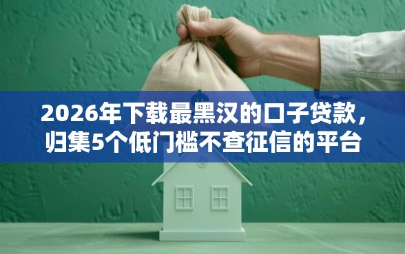 2026年下载最黑汉的口子贷款，归集5个低门槛不查征信的平台