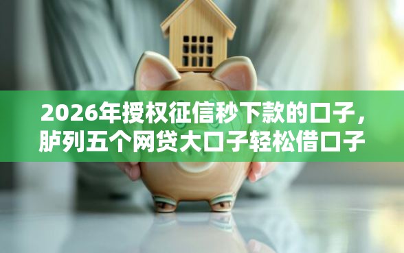 2026年授权征信秒下款的口子，胪列五个网贷大口子轻松借口子
