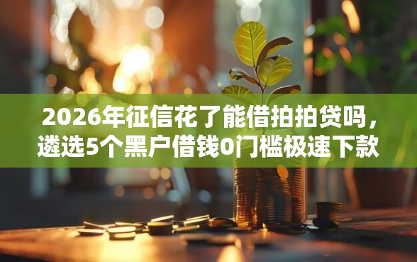 2026年征信花了能借拍拍贷吗,遴选5个黑户借钱0门槛极速下款口子 2026年征信花了能借拍拍贷吗,遴选5个黑户借钱0门槛极速下款口子