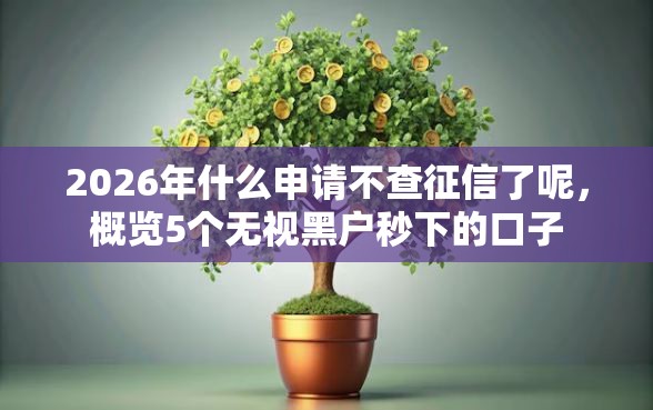 2026年什么申请不查征信了呢，概览5个无视黑户秒下的口子