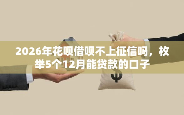 2026年花呗借呗不上征信吗，枚举5个12月能贷款的口子