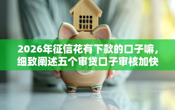 2026年征信花有下款的口子嘛，细致阐述五个审贷口子审核加快的软件