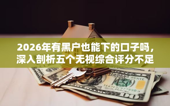 2026年有黑户也能下的口子吗，深入剖析五个无视综合评分不足的网贷