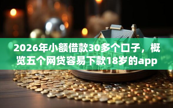 2026年小额借款30多个口子，概览五个网贷容易下款18岁的app