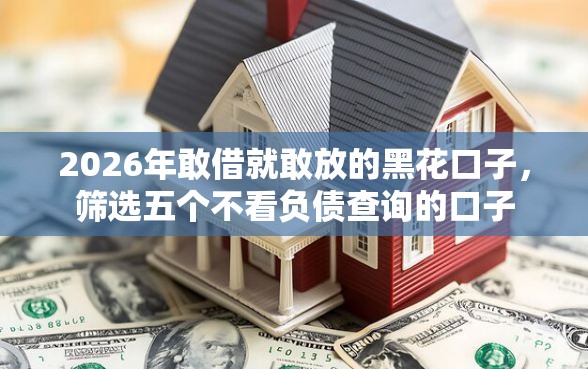 2026年敢借就敢放的黑花口子，筛选五个不看负债查询的口子
