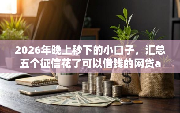 2026年晚上秒下的小口子，汇总五个征信花了可以借钱的网贷app