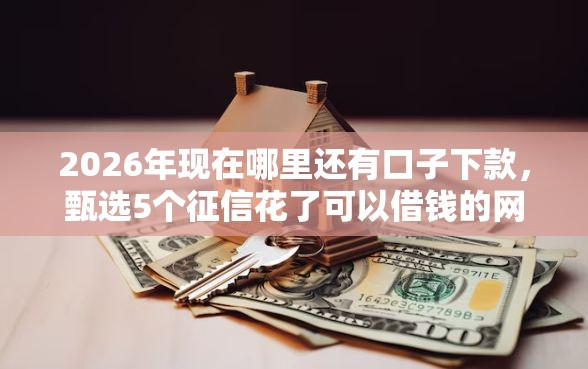 2026年现在哪里还有口子下款，甄选5个征信花了可以借钱的网贷口子