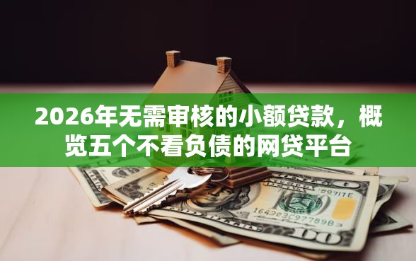2026年无需审核的小额贷款，概览五个不看负债的网贷平台